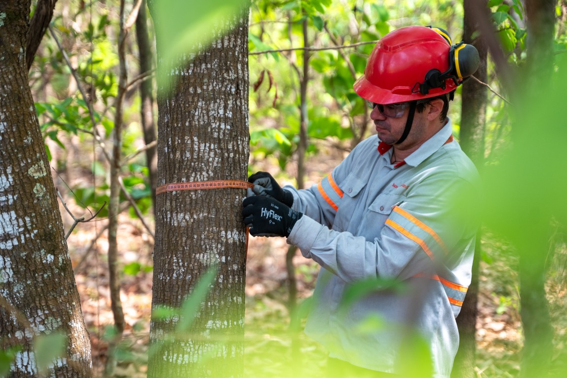 Monitoring Biodiversity at Chapada