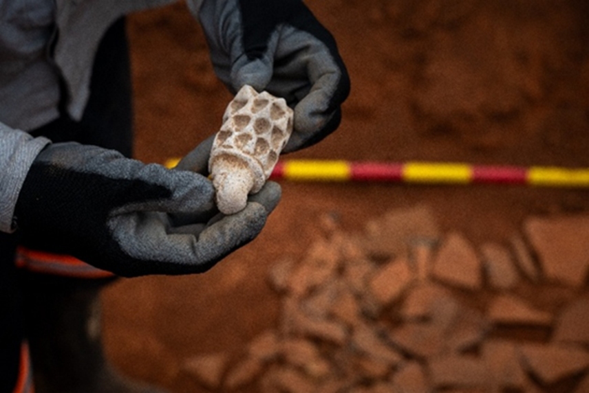 Preserving Palaeontological Heritage at Chapada image